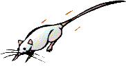 siimahnt.gif