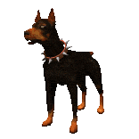animaatiokoira.gif